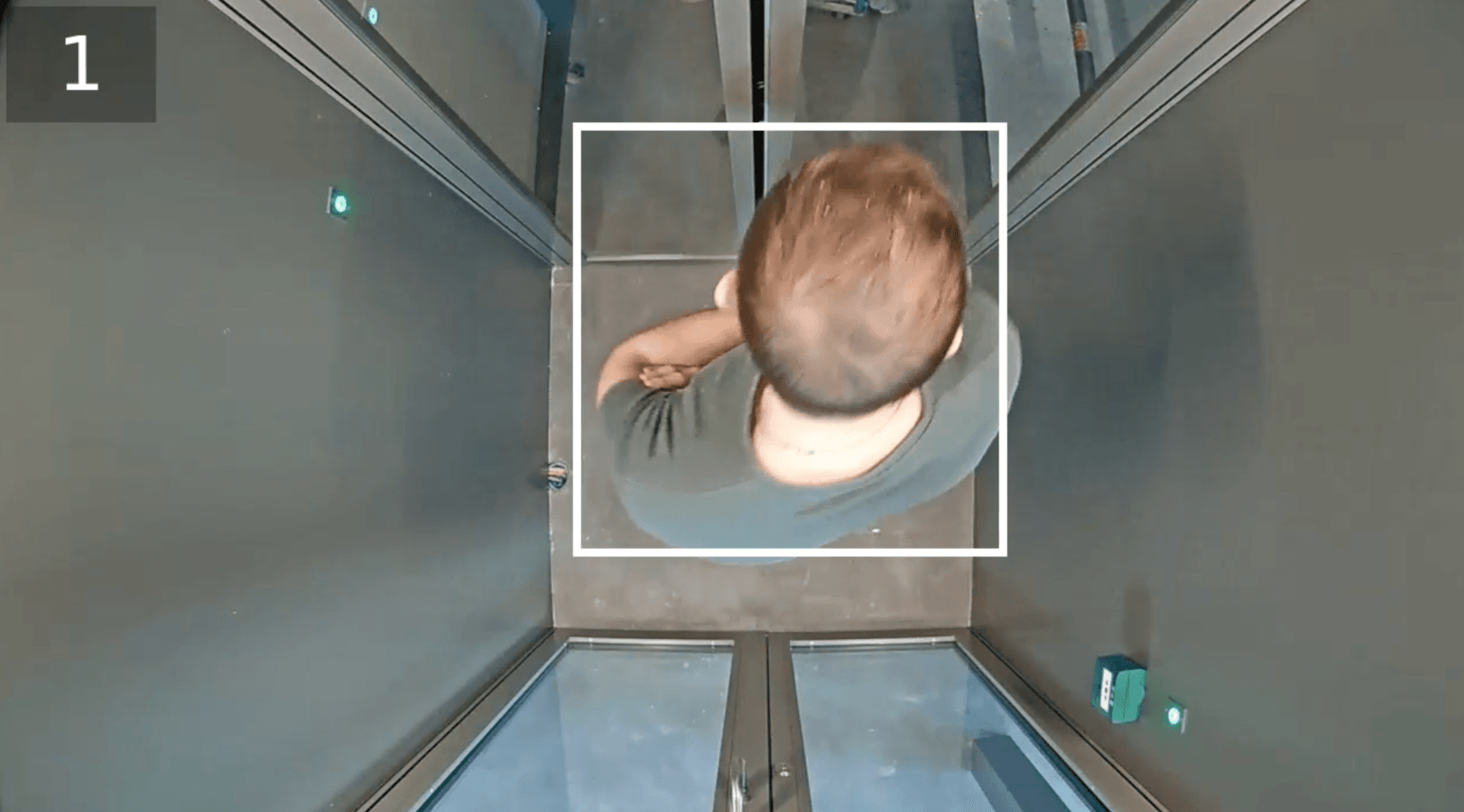 Custom Model Training
