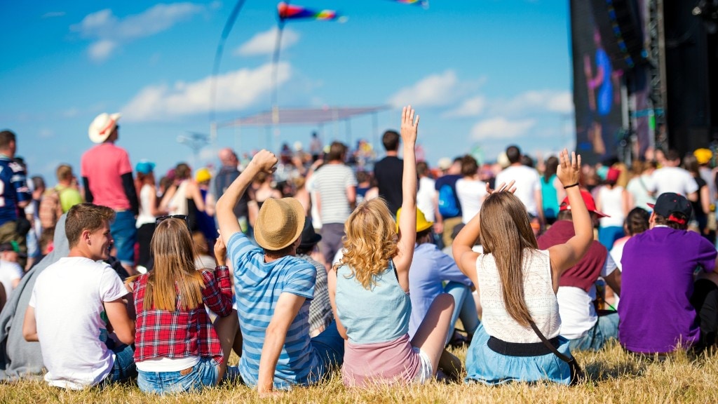 Festival and large event security